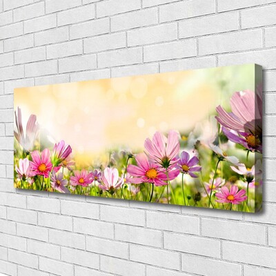 Quadro em tela Flores Planta Natureza
