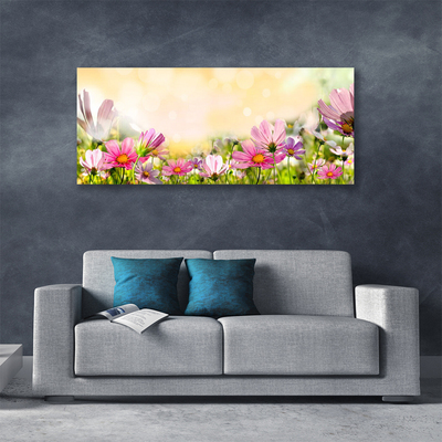 Quadro em tela Flores Planta Natureza