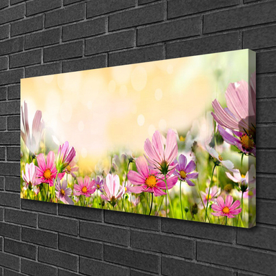 Quadro em tela Flores Planta Natureza