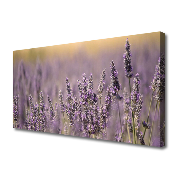 Quadro canvas Flores Planta Natureza