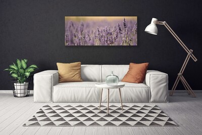 Quadro canvas Flores Planta Natureza