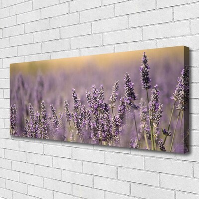 Quadro canvas Flores Planta Natureza