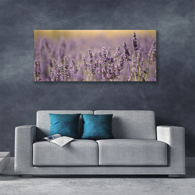 Quadro canvas Flores Planta Natureza