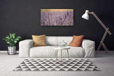 Quadro canvas Flores Planta Natureza