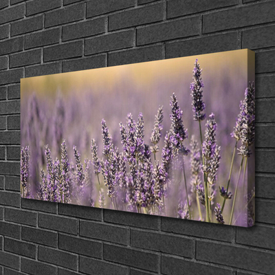 Quadro canvas Flores Planta Natureza