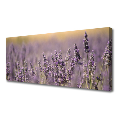 Quadro canvas Flores Planta Natureza