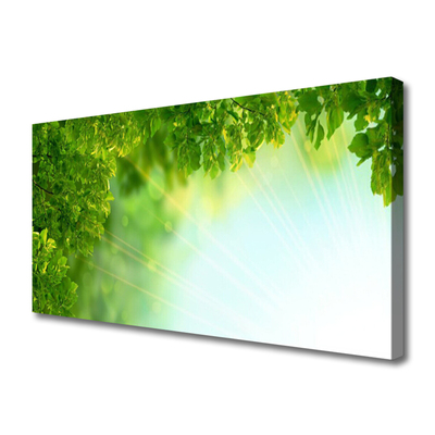 Quadro em tela Folhas Natureza Planta
