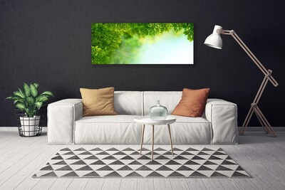 Quadro em tela Folhas Natureza Planta
