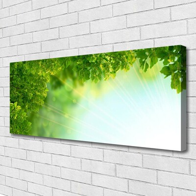 Quadro em tela Folhas Natureza Planta