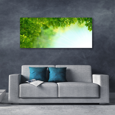 Quadro em tela Folhas Natureza Planta