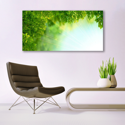 Quadro em tela Folhas Natureza Planta