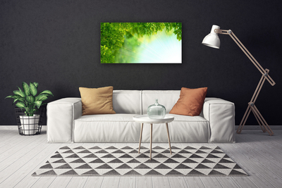 Quadro em tela Folhas Natureza Planta