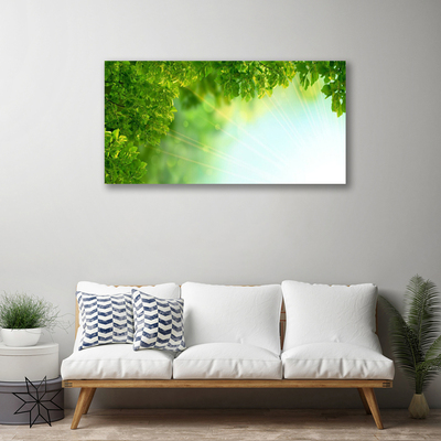 Quadro em tela Folhas Natureza Planta