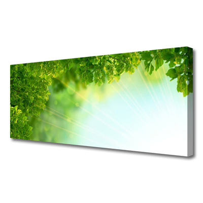 Quadro em tela Folhas Natureza Planta