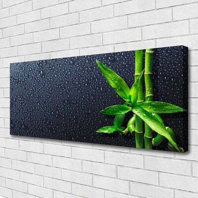 Quadro em tela Caule de bambu planta natureza