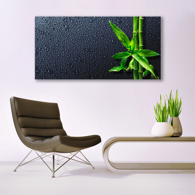Quadro em tela Caule de bambu planta natureza
