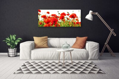 Quadro canvas Papoulas Plantam Natureza