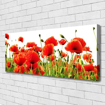 Quadro canvas Papoulas Plantam Natureza