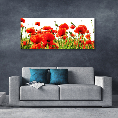 Quadro canvas Papoulas Plantam Natureza