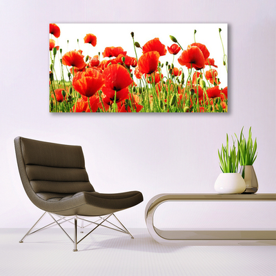 Quadro canvas Papoulas Plantam Natureza