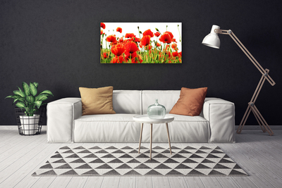 Quadro canvas Papoulas Plantam Natureza