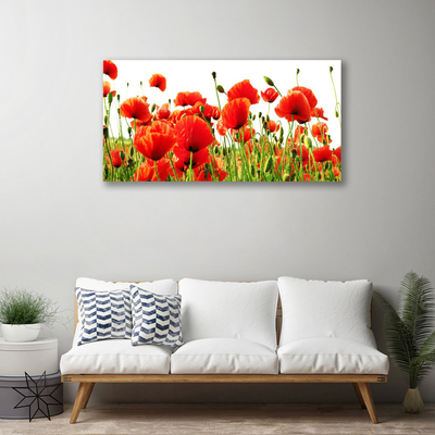 Quadro canvas Papoulas Plantam Natureza