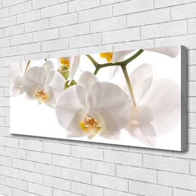 Quadro em tela Flores Planta Natureza