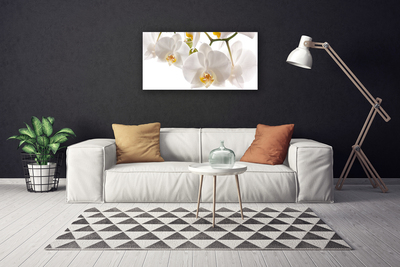 Quadro em tela Flores Planta Natureza