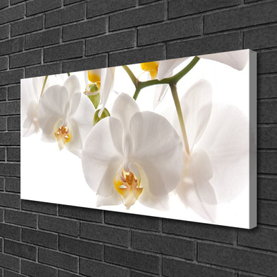 Quadro em tela Flores Planta Natureza