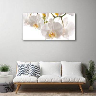 Quadro em tela Flores Planta Natureza