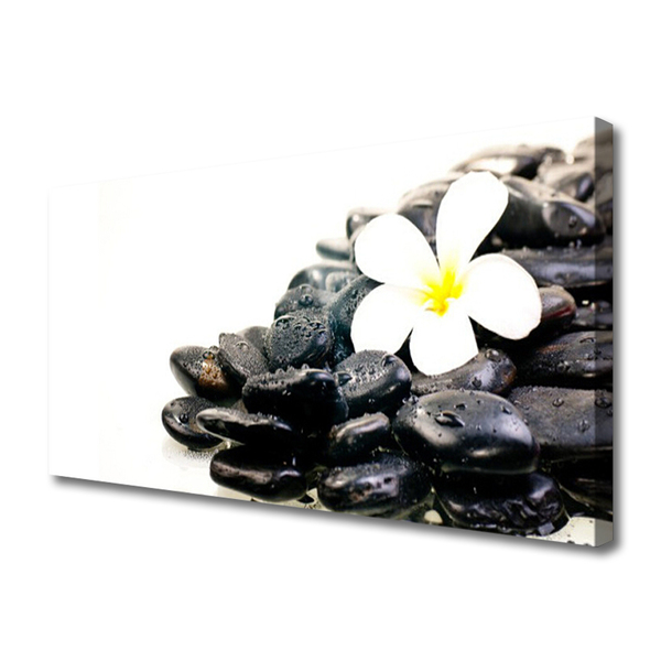 Quadro canvas Flores Pedras Arte