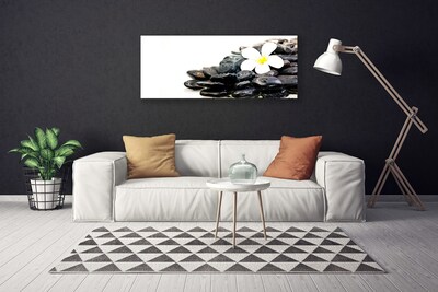 Quadro canvas Flores Pedras Arte