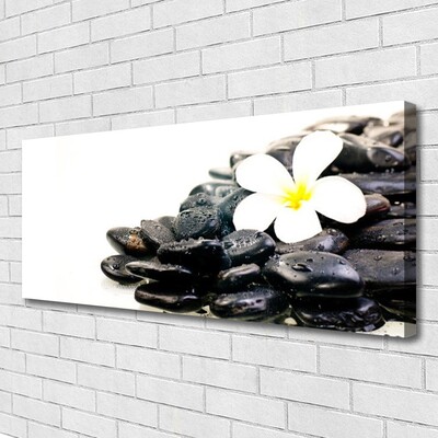 Quadro canvas Flores Pedras Arte