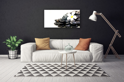 Quadro canvas Flores Pedras Arte