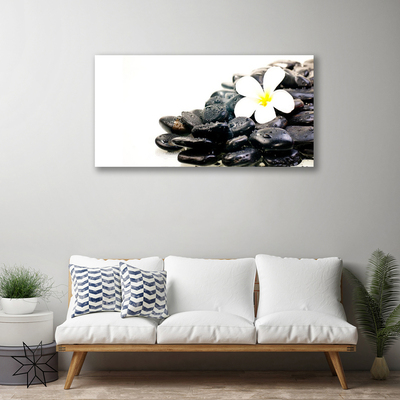 Quadro canvas Flores Pedras Arte