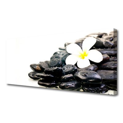 Quadro canvas Flores Pedras Arte