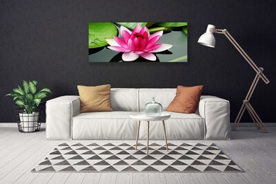 Quadro em tela Flor Planta Natureza