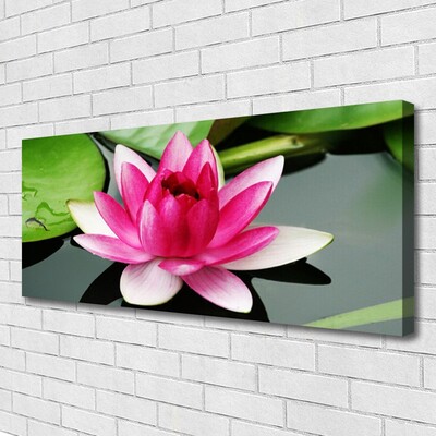 Quadro em tela Flor Planta Natureza