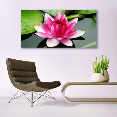 Quadro em tela Flor Planta Natureza