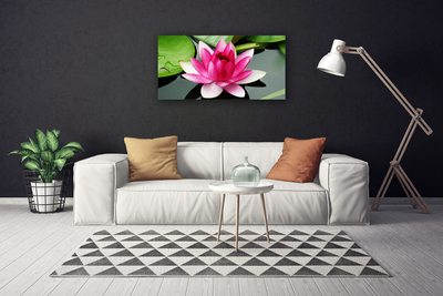 Quadro em tela Flor Planta Natureza
