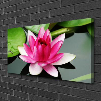 Quadro em tela Flor Planta Natureza