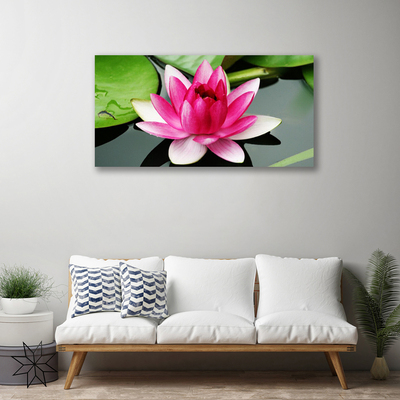 Quadro em tela Flor Planta Natureza