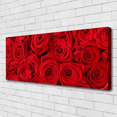 Quadro canvas Planta de flores rosas