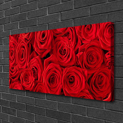 Quadro canvas Planta de flores rosas