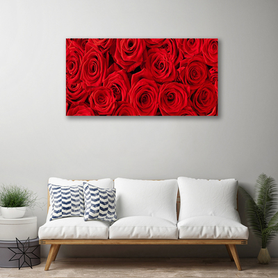 Quadro canvas Planta de flores rosas