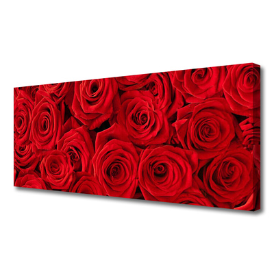 Quadro canvas Planta de flores rosas