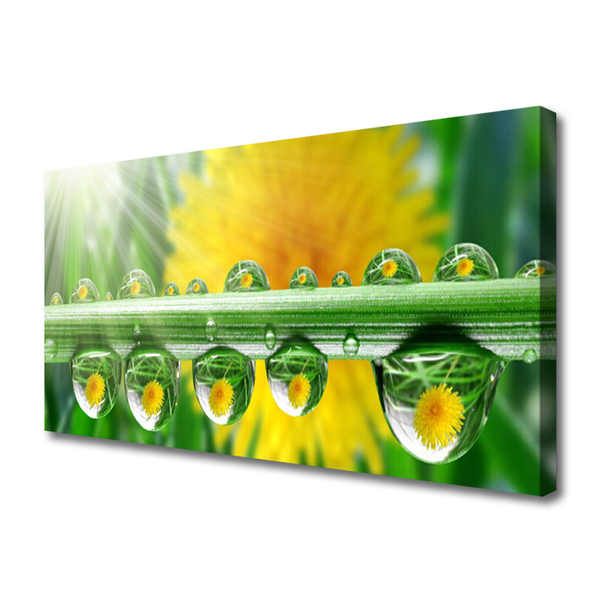 Quadro canvas Caule Gotas Orvalho Planta