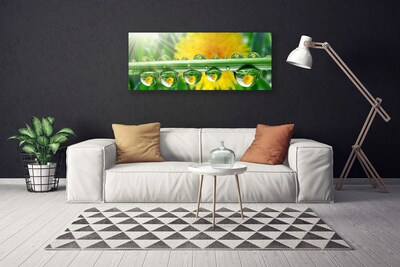 Quadro canvas Caule Gotas Orvalho Planta