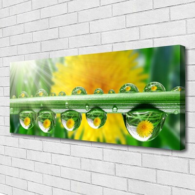 Quadro canvas Caule Gotas Orvalho Planta