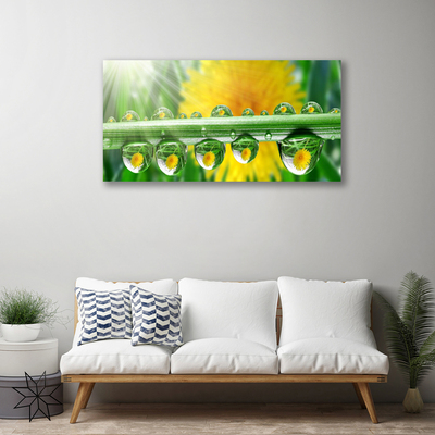 Quadro canvas Caule Gotas Orvalho Planta